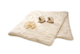 Schafschurwoll - Duo - Steppbett