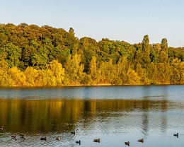 Fühlinger See Fühlinger See