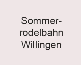Sommerrodelbahn Willingen Sommerrodelbahn Willingen