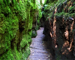 Die Drachenschlucht