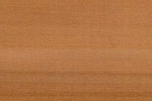 Holzstruktur Elsbeere
