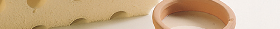 Naturlatex Banner